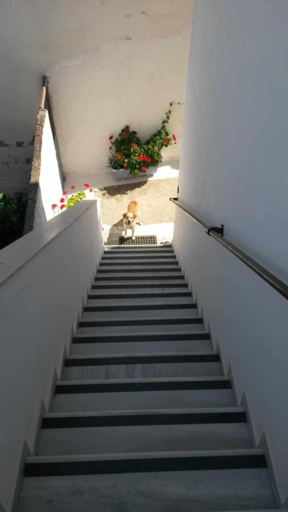 Kostas Studios Apartments - Ενοικιαζόμενα Δωμάτια Με Κουζινάκι Myrina Eksteriør bilde